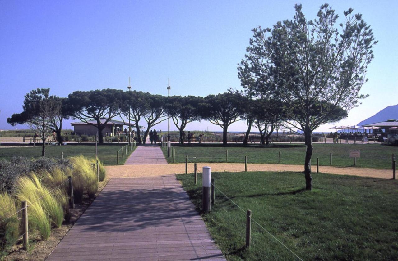 Apartment Appart. 500m Plages Des Sablettes